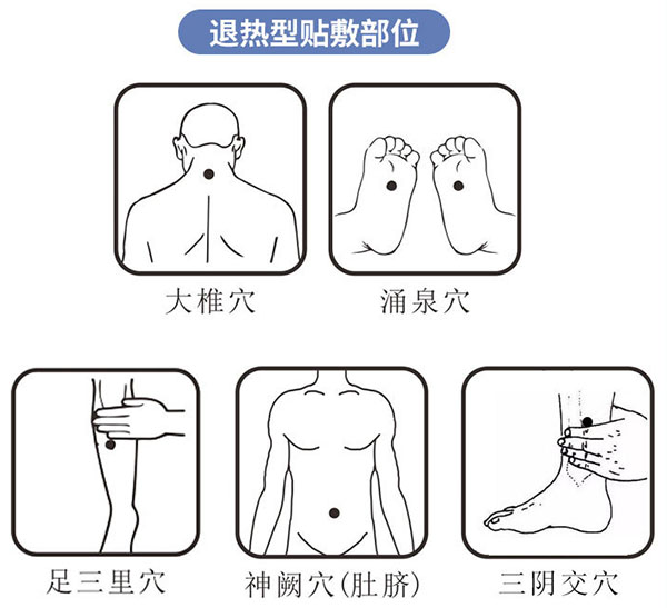 退热凝胶涂抹位置图